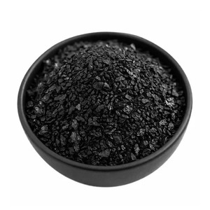 Charbon actif / charbon de bois de noix de coco - Product Image 1