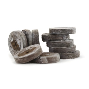 Planta de semilla de coco puro, calidad premium, ecológico, bajo costo de envío - Product Image 2