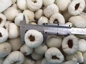 ลิ้นจี่แช่แข็งจากเวียดนามคุณภาพสูงผลไม้เมืองร้อน iqf รสหวานธรรมชาติพร้อมสำหรับการทำอาหาร - Product Image 4