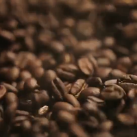 Café Robusta du Vietnam de qualité supérieure, grains de café, torréfacteur, machine à expresso, fabrication OEM, marque privée