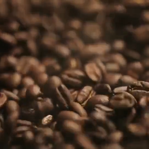 Premium Vietnam Robusta Coffee Coffee <b>Beans</b> Roaster Espresso Machine make OEM Private Label - Product Image 5