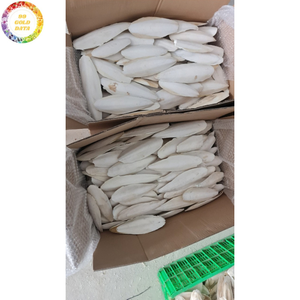Os de Seiche Séché de Première Qualité VF – Produit Naturel Premium à Mâcher pour Oiseaux : Perroquets, Canaris, Pinsons, Perruches et Parakeets - Product Image 6