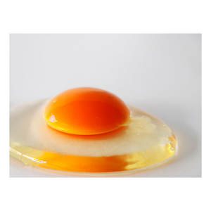 Produits animaux japonais frais de la ferme de qualité prestigieuse, la plus grande variété, production d'œufs de volaille - Product Image 2