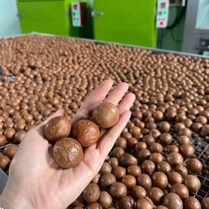 NUESITOS DE MACADAMIA PREMIUM SUSTENTABLES, ALIMENTO CRUNCHY ECOLÓGICO PARA LA NUTRICIÓN DIARIA - Product Image 3