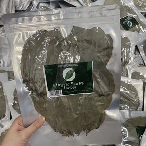 VENTA CALIENTE 2024 SOURSOP SECO/HOJA GRAVIOLA DE PROVEEDOR VIETNAMÉS LISTO PARA EXPORTAR - Product Image 1