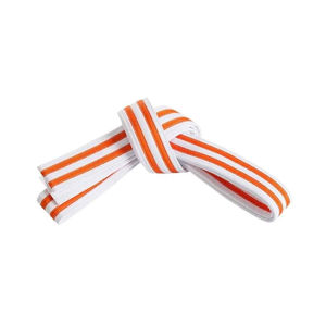 Nouvel Arrivage Ceintures Professionnelles 100% Coton Taille Haute Extensibles BJJ Jiu Jitsu Judo Boxe Taekwondo Sur Mesure Écologiques - Product Image 2