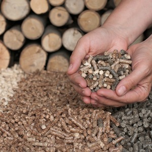 Biomasse durable : granulés de bois préparés à partir de résidus de bois naturels pour l'exportation en vrac, combustible pour le chauffage et les centrales électriques - Product Image 5
