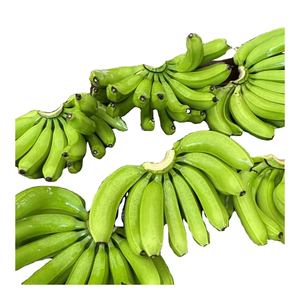 Bananes Cavendish vertes, produits frais de ferme de qualité supérieure pour la production de chips, la cuisine et la vente en gros - Product Image 2