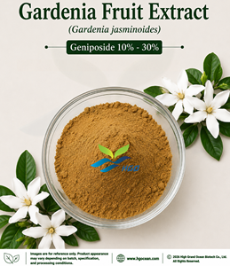 Suministro Directo de Fábrica de Extracto de Fruta de Gardenia (Gardenia jasminoides) de Grado Alimenticio, Genipósido 10% - 30% Extracto Estandarizado - Product Image 1