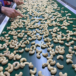 Best Price Cashew Kernel Ww240 Whole Cashew Nuts Vietnam Cashew Nuts Import Price Free Tax - Product Image 1
