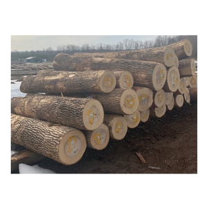 Premium <b>Timber</b> Logs Forestry Grade For Construction And Processing Export - Product Image 1