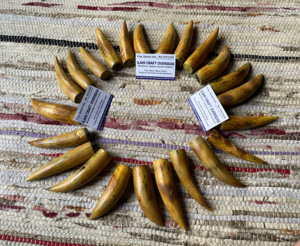 ปลายเผาขัดเขาควายธรรมชาติเป็นมิตรต่อสิ่งแวดล้อม - Product Image 5