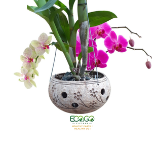 Pot suspendu en coquille de noix de coco fait main |   Pot à plantes succulentes naturelles pour la maison, le jardin et les espaces extérieurs |   Eco2go Vietnam - Product Image 4