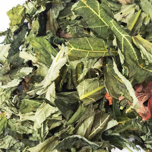 Thé aux feuilles de papaye séchées, provenant directement du Vietnam, 500g - Product Image 4