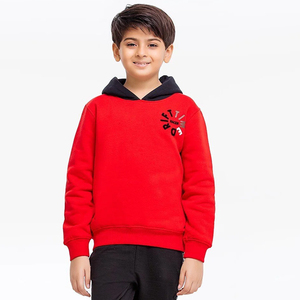 Sudadera con Capucha para Niños, Sudadera de Algodón Cálida para Invierno, Sudadera con Capucha de Manga Larga, Diseño Personalizado OEM ODM, Fábrica de Venta al por Mayor - Product Image 5