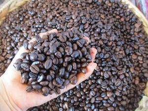 เมล็ดกาแฟเวียดนามโรบัสต้าและอาราบิก้า คั่วเต็มเมล็ดหรือบดละเอียด รสชาติเข้มข้น กาแฟพรีเมียมสำหรับเอสเพรสโซ คาเฟ่ บิสโทร ขายส่ง - Product Image 1