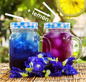 Dry Selected Butterfly Pea Flowers Natural Blue Petals Herbal <b>Slimming</b> <b>Tea</b> Blending Beverage Processing Bulk Wholesale Vietnam - Product Image 6