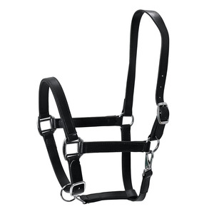 Cabestro de Cuero Premium para Caballo, Ajustable, con Hebillas de Latón en Tono Plateado de Alta Resistencia, Herrajes Duraderos para Uso Diario en Establos - Product Image 3