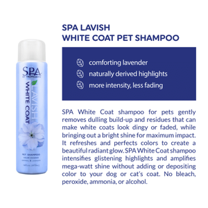 Shampoo pour animaux de compagnie TropiClean SPA Lavish Sport pour lui (Toilettage) - Product Image 1