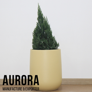 Ensemble de pots à fleurs en béton vintage minimaliste américain, peints en jaune, pour plantes d'intérieur, décoration de la maison - Product Image 6