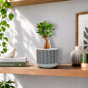 Maceta de Terracota con Diseño de Corazón Rosa Pálido, Hecha a Mano, Decorativa, con Orificio de Drenaje para Plantas de Interior, Sala de Estar - Product Image 4