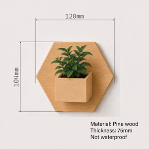 Eco-Friendly Self-Adhesive Wooden <b>Wall</b>-Mounted Hexagon Planter for Air Plants & Succulents Home <b>Decor</b> Gift Set - Product Image 6