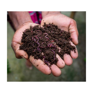 Engrais organique en gros à 100 % naturel, fabriqué à partir de compost de vers de terre - Product Image 3