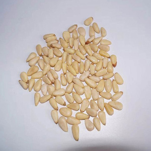Pignons de pin biologiques à prix abordable, grillés et séchés, en coque, pour en-cas - Product Image 6