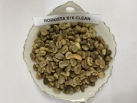 Café Vert Robusta PHALCO de Haute Qualité Grade 1 Tamis 16/18 Vietnam Meilleur Prix Prêt à l'Exportation en Sac de Jute