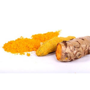 Organic Curcumin Rich Turmeric Powder High Strength Haldi <b>Extract</b> for Health Care Nutraceutical and Cosmetic Use Bulk Wholesale - Product Image 2