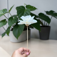 VADEE Kerajinan Tangan Bunga Kayu Sola Camellia Putih Tunggal Berkelanjutan Ukuran 8.5 CM Model Batang Serat Tanaman Sesbania VDXXX-077