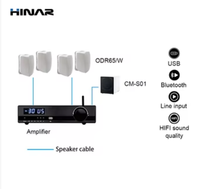 Système audio PA HINAR 2.1 canaux, enceintes murales de 6,5 pouces, caisson de basses passif de 10 pouces, amplificateur de classe D, Bluetooth, audio commercial