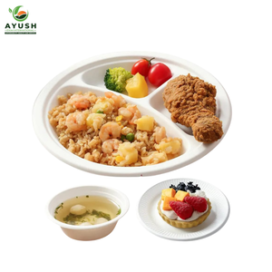 Assiettes et bols élégants en bagasse à rebord profond pour servir des collations et des plats saucieux lors de banquets de mariage - Product Image 4