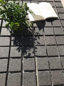 Best-Selling Polished Black Granite – Decorative <b>Stone</b> for Landscaping, Driveways & Garden Design - Product Image 6