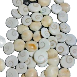 Manufacturer Factory Wholesale Price of Shiva Eye Stone - Product Image 3