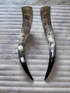 Vente en gros de grandes cornes de bœuf - Paire de cornes spirales et torsadées de style animal, polies à la main, écologiques, achat en gros, prix économiques - Product Image 5