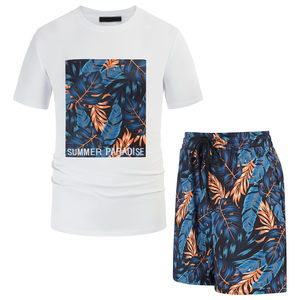 Ensemble été homme en coton, t-shirt et short, fournisseur en gros, tenue d'été homme deux pièces, fabricant de logo personnalisé - Product Image 2