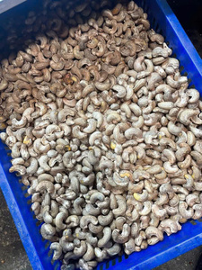 เม็ดมะม่วงหิมพานต์ดิบออร์แกนิกคุณภาพสูงขายส่ง - ส่งตรงจากโรงงานในเวียดนาม แบรนด์ IIGLOBAL FARM เกรดพรีเมียม อายุการเก็บรักษา 12-24 เดือน - Product Image 5