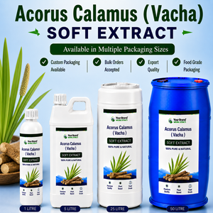 Extracto Suave de Acorus Calamus, Suplemento Herbal de Vacha, a Base de Plantas, Grado Alimenticio, Suministro a Granel, Empaque Personalizado - Product Image 1