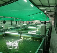 Filet de retenue pour aquaculture en PE bleu, filet de cage à poissons à mailles fines, barrière pour alevins et jeunes poissons en étang, service de découpe, Fortune Agro Net