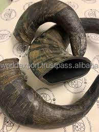 Cuerno de búfalo de agua natural para masticar perros, palo grande hueco para la salud dental de las mascotas, venta al por mayor de La India por FWE - Product Image 4