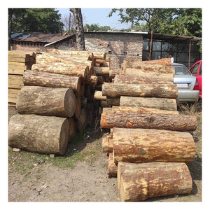 Bûches de teck africain de haute qualité disponibles au prix d'usine pour les acheteurs en gros - Product Image 6