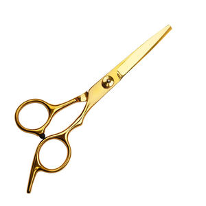 Stainless Steel Professional Portable Luxury Pet Grooming Scissors Safety Tip Multi-functional Hair <b>Shear</b> - Product Image 1