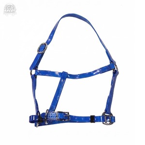 Halter de PVC para equitación, altamente duradero, con accesorios brillantes de primera calidad, precio bajo, al por mayor - Product Image 3