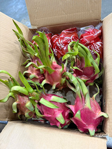 Fruta del Dragón Fresca de Vietnam – Calidad Premium, Pulpa Jugosa, Apta para el Mercado de India - Product Image 1