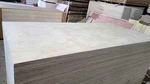 Lámina de Madera Contrachapada de Pino de 18 mm de Alta Calidad con Grado AA, AB, AC, BB, Muebles Comerciales, Fabricantes de Madera Contrachapada Vietnamitas - Product Image 3