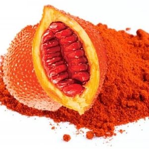 FACTORY SUPPLY BULK PRICE NATURAL GAC POWDER ANTI-OXIDANT RICH SKIN CARE INGREDIENT - Product Image 1