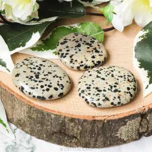 Piedra de Jaspe Dálmata Natural, Ovalada y Lisa, Cristal Curativo, Piedra de Palma, Piedra de Bolsillo para el Miedo, para Feng Shui, Decoración del Hogar, Venta al por Mayor - Product Image 2