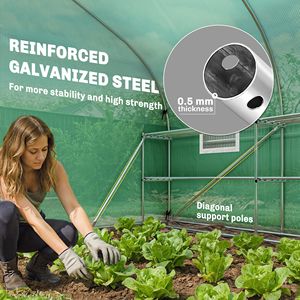 Serra a tunnel 10x11x6 con ripiani, porta a rete e finestre, serra per piante con copertura in PE, verde - Product Image 5