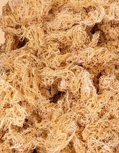 ผงมอสจากเวียดนามคั่วมอสจากธรรมชาติ100% เพื่อสุขภาพที่ดีบรรจุในถุง - Product Image 3